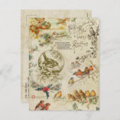 ヴィンテージ素朴クリスマスバード&ホリーエフエメラ シーズンポストカード (正面/裏面)