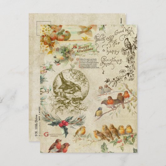 ヴィンテージ素朴クリスマスバード&ホリーエフエメラ シーズンポストカード (正面/裏面)