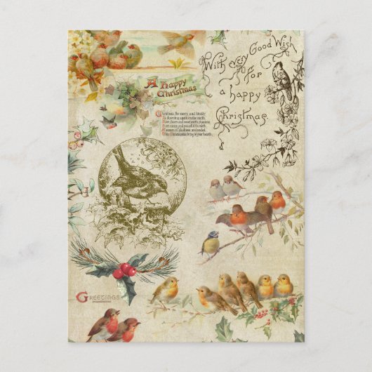 ヴィンテージ素朴クリスマスバード&ホリーエフエメラ シーズンポストカード (正面)