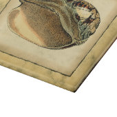 ヴィンテージ素朴シーシェル カッティングボード (角)