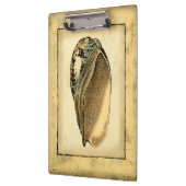 ヴィンテージ素朴シーシェル クリップボード (左)