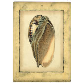 ヴィンテージ素朴シーシェル クリップボード (裏面)