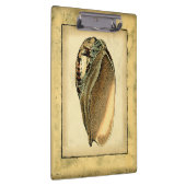 ヴィンテージ素朴シーシェル クリップボード (右)