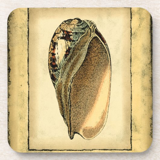 ヴィンテージ素朴シーシェル コースター (正面)