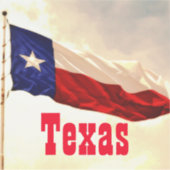 ヴィンテージ素朴スタイルテキサス州国旗のシール シール (正面)