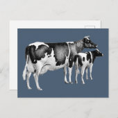 ヴィンテージ素朴ファームカウカーフスケッチブルーホワイト ポストカード (正面/裏面)