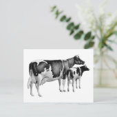 ヴィンテージ素朴ファームカウカーフスケッチ白黒 ポストカード (スタンド正面)
