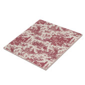 ヴィンテージ素朴フフランスのァームトイルレッド&タン タイル (側面)