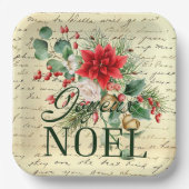 ヴィンテージ素朴フランスのジョユーノエル ペーパープレート (正面)