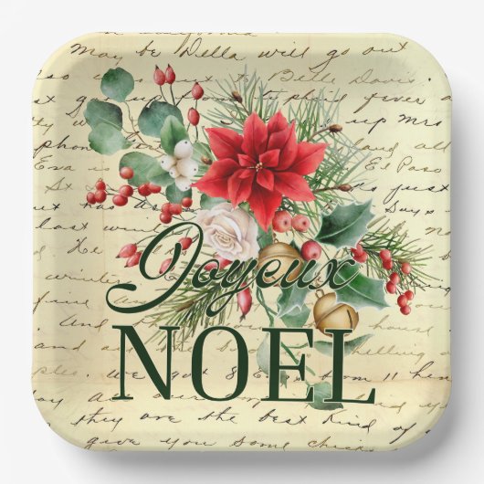 ヴィンテージ素朴フランスのジョユーノエル ペーパープレート (正面)