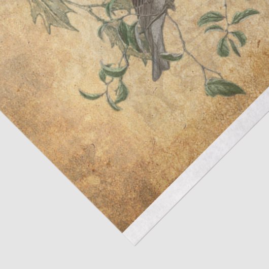 ヴィンテージ素朴旧世界父クリスマスw/Pine 薄葉紙 (詳細)