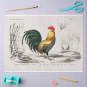 ヴィンテージ素朴鶏のデコパージュ 薄葉紙 (クラフト)