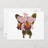 ヴィンテージ紫カトレヤオーキッド、熱帯花 ポストカード (正面/裏面)