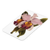 ヴィンテージ紫カトレヤオーキッド、熱帯花 マグネット (左側)