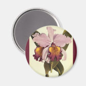 ヴィンテージ紫カトレヤオーキッド、熱帯花 マグネット (正面/裏面)