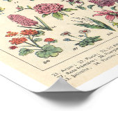 ヴィンテージ紫色の花 ポスター (角)