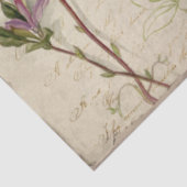 ヴィンテージ紫花蝶とエフェメラ 薄葉紙 (詳細)