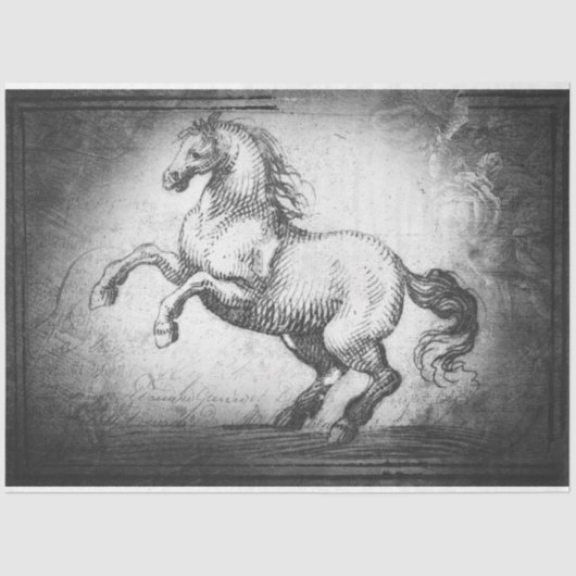 ヴィンテージ組織またはデコページ紙 薄葉紙 (正面)