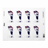 ヴィンテージ統一された州国旗と花火ボーイ ラベル (フルシート)