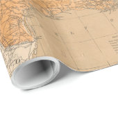 ヴィンテージ統一された州地質図(1872) ラッピングペーパー (ロールコーナー)