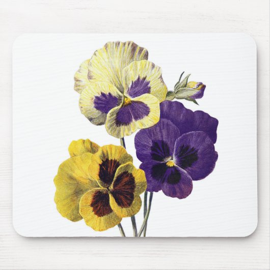 ヴィンテージ絵を描オールド紫色の黄色いパンジーの花 マウスパッド (正面)