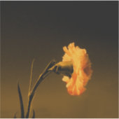 ヴィンテージ絵を描カーネーション シール (正面)