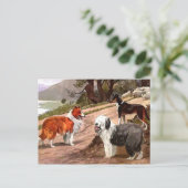 ヴィンテージ絵を描コリー葉書 ポストカード (スタンド正面)