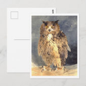 ヴィンテージ絵を描フクロウ葉書 ポストカード (正面/裏面)