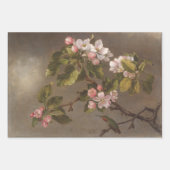 ヴィンテージ絵画のハチドリとリンゴの花 ラッピングペーパーシート (正面2)