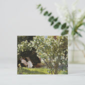 ヴィンテージ絵画の白いバラ読の女 ポストカード (スタンド正面)