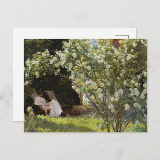 ヴィンテージ絵画の白いバラ読の女 ポストカード (正面/裏面)