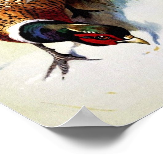 ヴィンテージ絵画の首のリングや輪のキジのポスター ポスター (角)