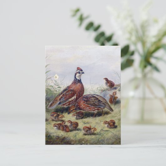 ヴィンテージ絵画ズオブウズルバードバイフィッツウィリアムテイト ポストカード (スタンド正面)