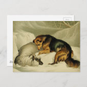 ヴィンテージ絵画ズ:雪の中のドイツの羊飼い ポストカード (正面/裏面)