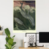 ヴィンテージ絵画ナルファル（1909年） ポスター (ホームオフィス)