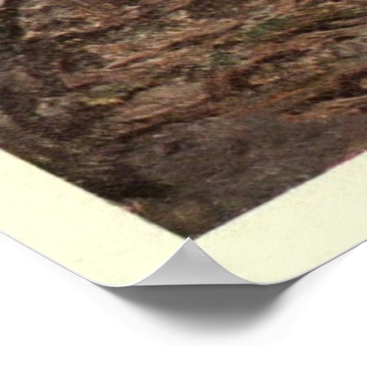 ヴィンテージ絵画ムース(1909年) ポスター (角)