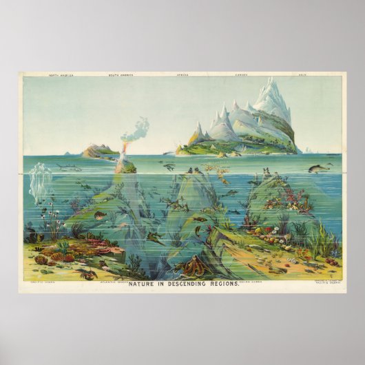 ヴィンテージ絵画世界生態系マップ(1893) ポスター (正面)