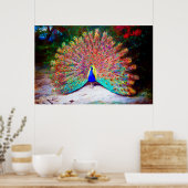 ヴィンテージ絵画孔雀 ポスター (キッチン)