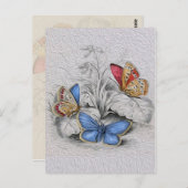 ヴィンテージ絵画蝶の赤い蝶 ポストカード (正面/裏面)