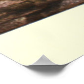 ヴィンテージ絵画・タイガー（1909年） ポスター (角)