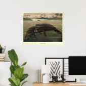 ヴィンテージ絵画・マナティー(1909) ポスター (ホームオフィス)