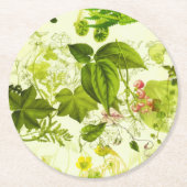 ヴィンテージ緑色植物野草水色 ラウンドペーパーコースター (正面)
