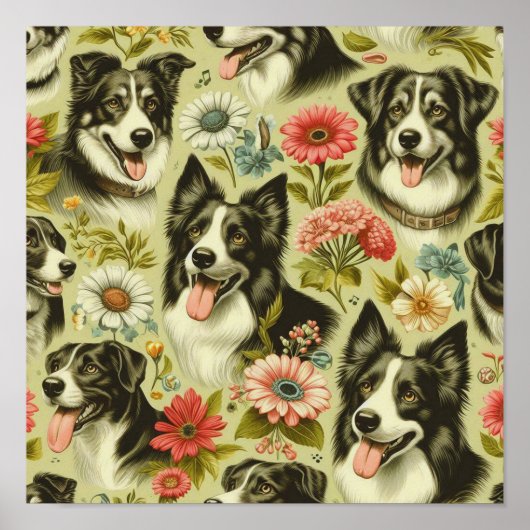 ヴィンテージ縁どコリー絵を描ズ ポスター (正面)