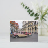 ヴィンテージ縁ど ポストカード (スタンド正面)