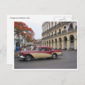 ヴィンテージ縁ど ポストカード (正面/裏面)