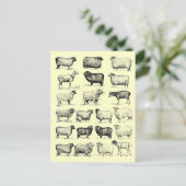 ヴィンテージ羊 ポストカード (スタンド正面)