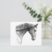 ヴィンテージ美しいダークホース ポストカード (スタンド正面)