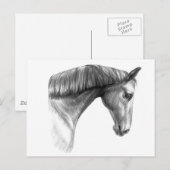 ヴィンテージ美しいダークホース ポストカード (正面/裏面)