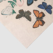 ヴィンテージ美しい蝶の植物分離 薄葉紙 (詳細)