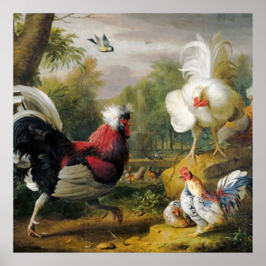 ヴィンテージ美しい闘鶏 ポスター (正面)